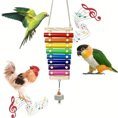 Colorful Bird Xylophone Toy Parrots Chicken Toys Bird Cage T
