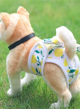 Reusable Female Dogs Diaper Pants Sanitary Female Dog Pants