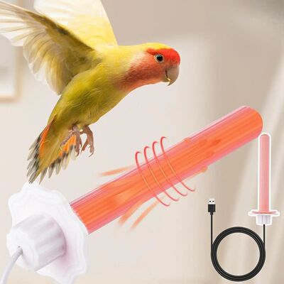 Winter Warm Heated Bird Perch Stand 5V USB Bird Warmer for L