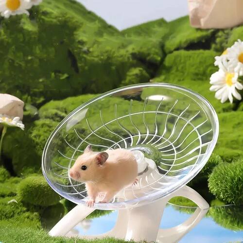 Small Pet Silent Running Practice Wheel Hamster Mouse Hedgeh