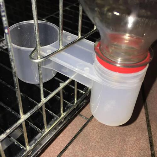 Plastic Practical for Bird Bird Feeder Water Drinker Cup Fee