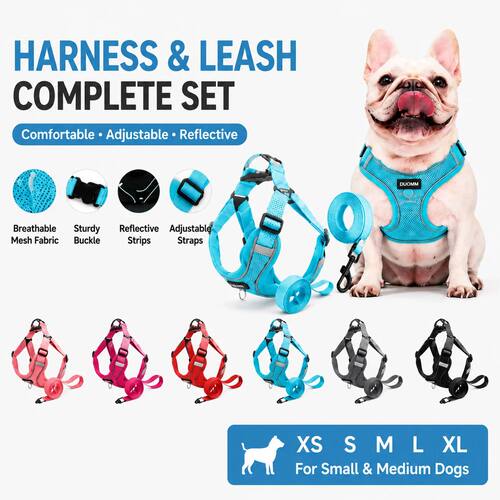 Soft Mesh Dog Harness and Leash Set for Small Medium Dogs, R