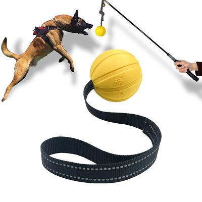 Dog Toy Balls On a Rope for Small Medium Large Dogs Chewers,