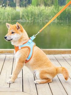 Pet Breathable Vest Harness Hand Puppy Chest Cat Leash Strap