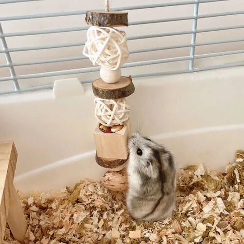 Hamster Toy Hamster Golden Bear Foraging Gnawing Grinding Te