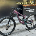 (Self-Build) Towers C 29/M Full Electronic Shifting Complete Bike