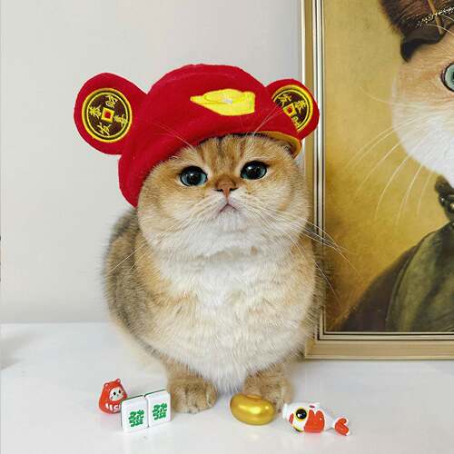 新年宠物财神爷帽子狗狗猫咪头套拜年喜庆元宝变装帽小型犬头饰