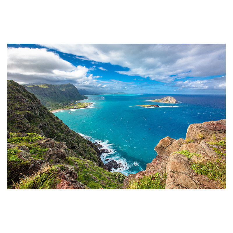 横版简约大海浪沙滩蓝天椰树自然清新美丽风景风光背景墙壁装饰画