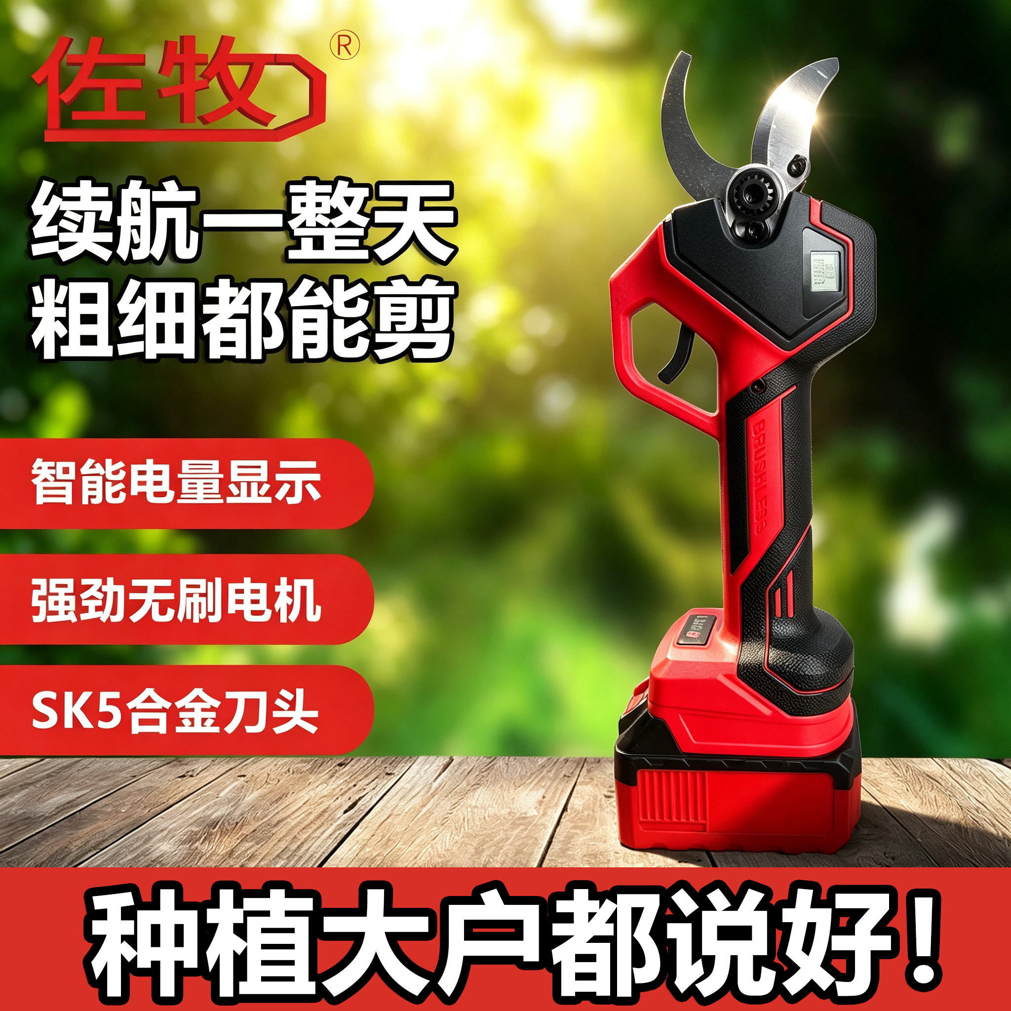 电动剪刀果树修枝剪剪枝专用剪树枝大功率型锂电池手持式电剪园艺图片