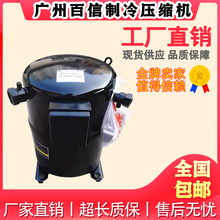 进口CRNQ-0500-TF5-522/598/521/551谷轮设备活塞压缩机三相200V