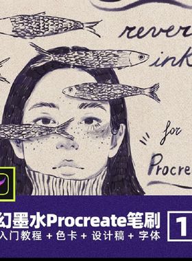 Heygiudi Reverie Inker墨水纹理Procreate笔刷插画勾线草图画笔