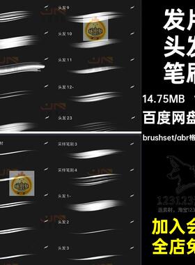 1套50款发片头发笔刷毛发绘画发丝procreateps勾线ipad画笔CG纹理