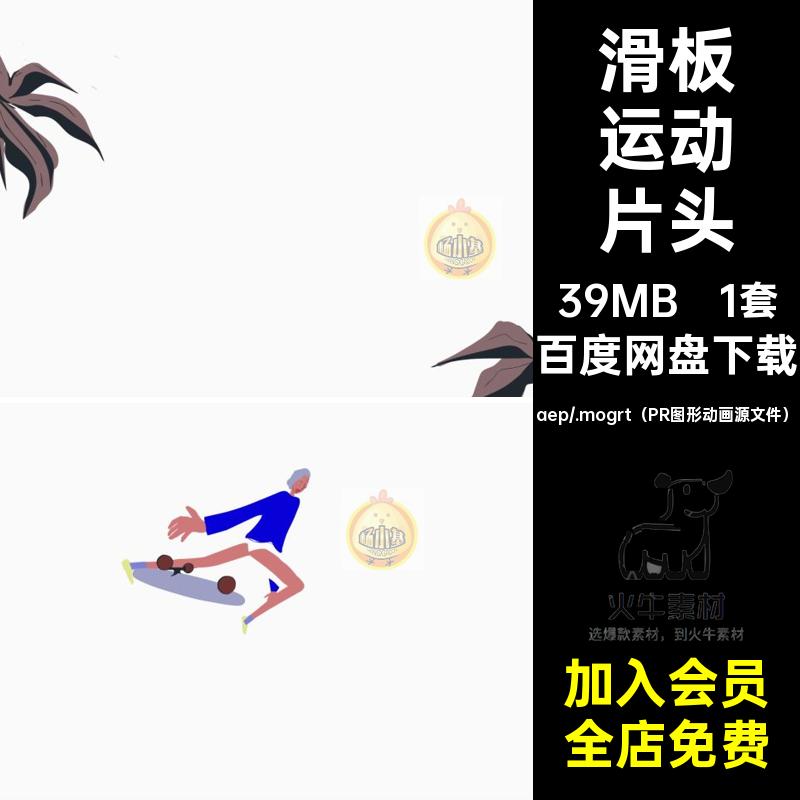 1套滑板运动片头源文件动画综艺节目10卡通模板体育人物logoAEPR