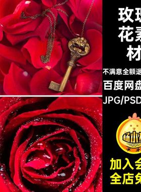 TP-33粉红色玫瑰花瓣高清图片七夕520背景海报JPG情人节设计素材