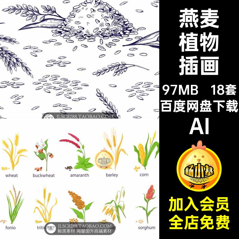大麦植物插画AI藜大米燕麦小麦插图素材荞麦18套小米黑麦水稻手绘