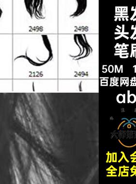 女士头发笔刷abr丝后期合成长发110款黑发笔触创意素材PS黑发后期