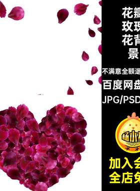 TP-33粉高清图片花瓣红色玫瑰七夕情人节背景海报JPG52
