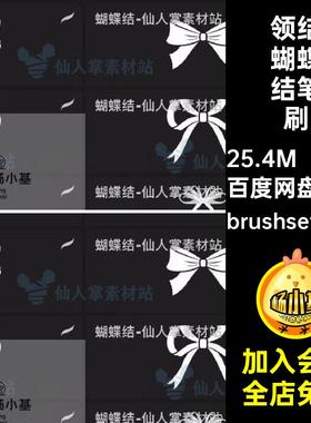 24款蝴蝶结笔刷插画领结绘画PSipad发带procreate画笔女孩装饰