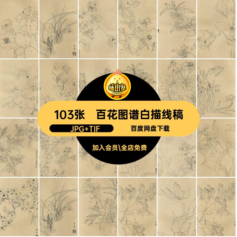 百花图谱白描线稿植图集格式国画103张tif幅花卉.G高清图片素材