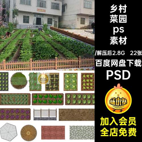 植物菜园ps素材PSD效果图甘蓝22张后期平面菜地psd分层乡村蔬菜