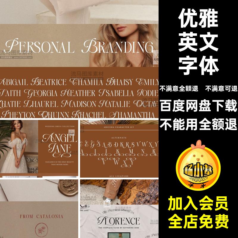 现代英文字体支持杂志婚礼库优雅衬线素材PSAI品牌设计标题安装包
