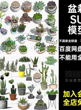 吊兰SU模型su组合盆绿植室内外肉盆栽现代多日式新中式植物室