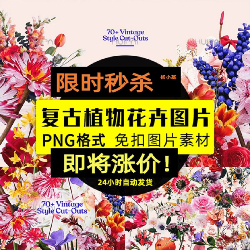 71款潮流复古拼贴剪报植物花卉png免抠图片平面设计素材源文件