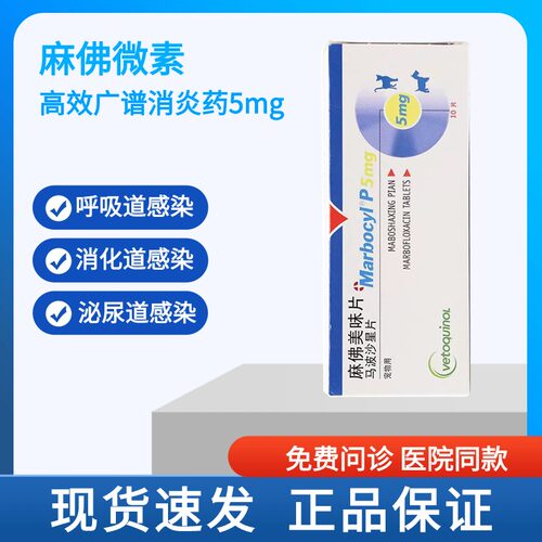 麻佛美味片5mg宠物狗狗感冒消炎的药犬猫皮肤泌尿炎感染麻佛微素
