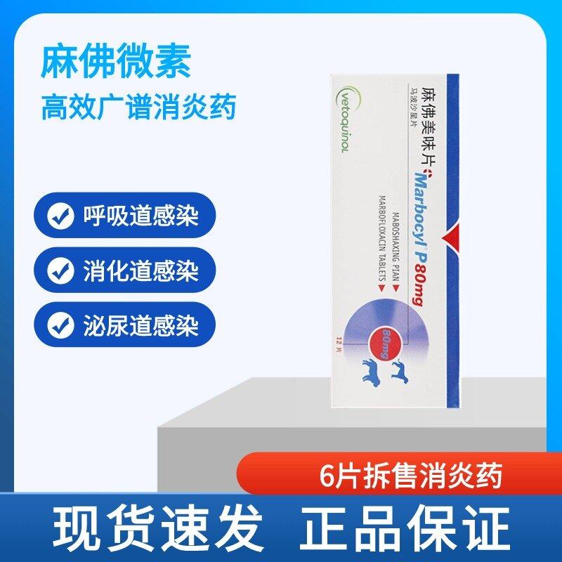 麻佛美味片80mg宠物狗犬猫感冒拉稀呕吐尿血外伤感染麻佛微素6片,宠物/宠物食品及用品,狗特色药品,淘宝优惠券,粉丝福利购,淘宝优惠卷