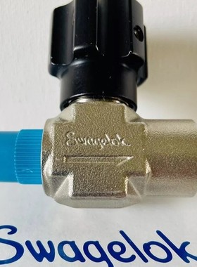 世伟洛克 SS-16DPM4-F4-BC-PD 整体 Bonnet 非旋转 1/4 英寸 PEEK