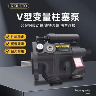 柱塞 V23A V50A V18A V38A R10X台湾款 油升款 柱塞泵V15A