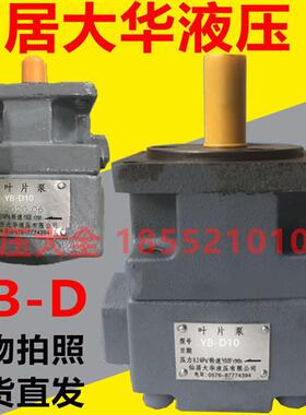 仙居大华液压叶片泵 YB-D2.5 D6 D10 D12 D25 D20 D32 D40 D50 63