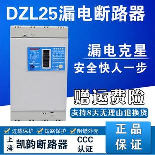 100A 160A 200A DZL25 三相四线漏电断路器380V 4300 250A 200