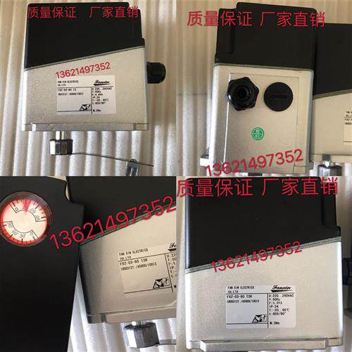 FXZ-03-60T3R电动执行器质量保证厂家直销fanxin泛信FXZ-02-15T3