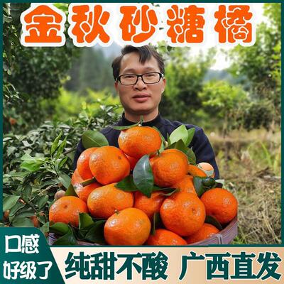 广西金秋蜜橘砂糖橘10斤新鲜水果整箱南宁沙糖桔红了非广东四会