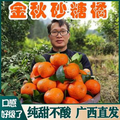 广西金秋蜜橘砂糖橘10斤新鲜水果整箱南宁沙糖桔红了非广东四会