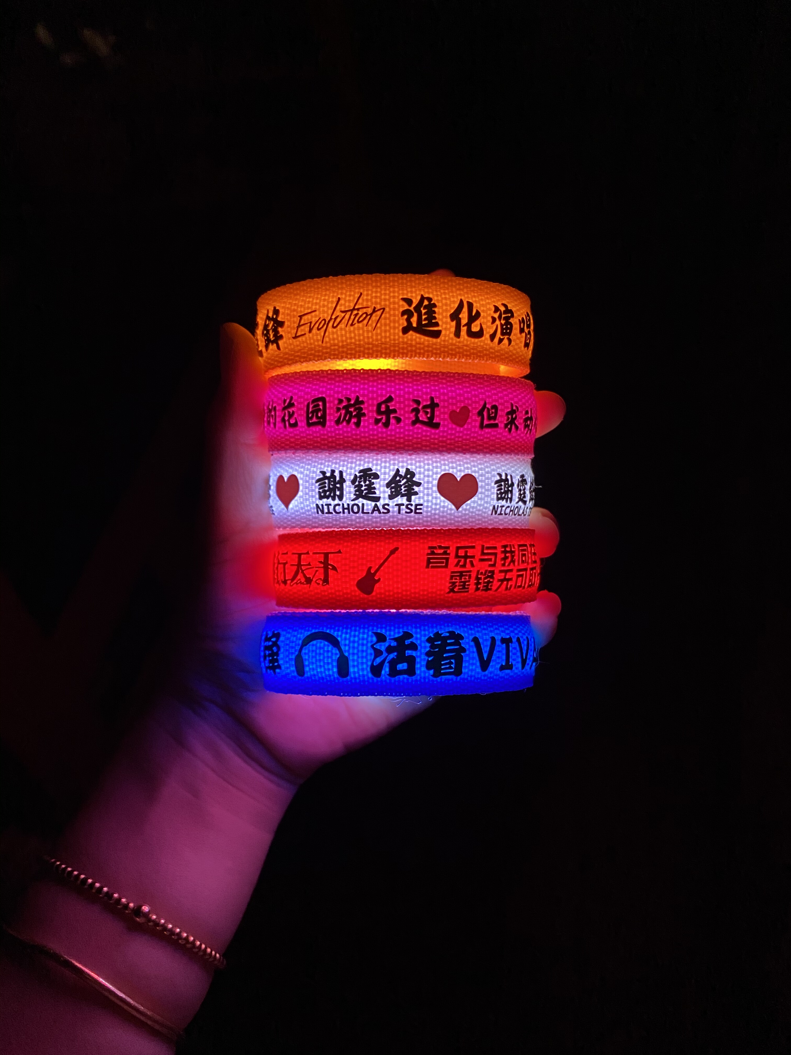 谢霆锋演唱会应援发光手环定制周边粉丝助威荧光棒气氛道具灯牌
