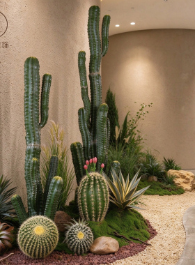 原创沙漠植物景观仿真仙人掌造景