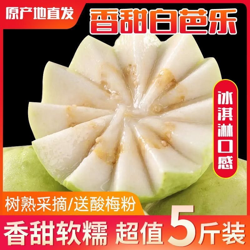 包邮广东软糯软心芭乐水果茂名当季奶油软白番石榴应季新鲜包邮价
