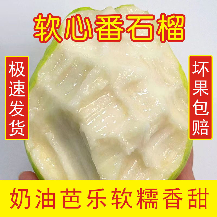 包邮广东软糯软心芭乐水果茂名当季奶油软白番石榴应季新鲜包邮价