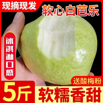 包邮广东软糯软心芭乐水果茂名当季奶油软白番石榴应季新鲜包邮价