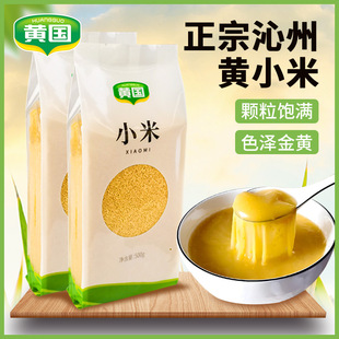 黄国粮业 黄小米 1斤 真空装五谷杂粮粗粮早餐煮粥小米饭米香浓郁