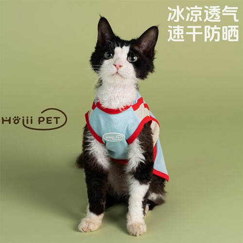 HOiiiPET冰丝网眼背心德文猫