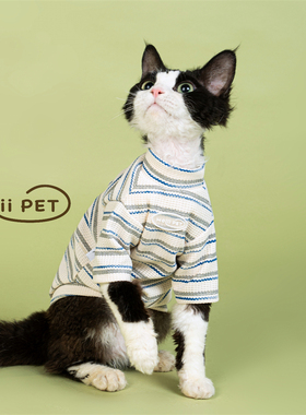 HOiii PET简约渐变条纹卫衣德文猫衣服无毛猫打底衫韩系居家服
