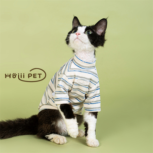 HOiii PET简约渐变条纹卫衣德文猫衣服无毛猫打底衫韩系居家服