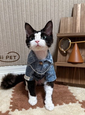 HOiii PET 原创链条牛仔衬衫德文猫衣服无毛猫衣服柔软棉制潮酷