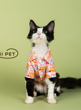 HOiii PET可爱卡通印花小熊衬衫德文猫衣服纯棉磨毛无毛猫衣服