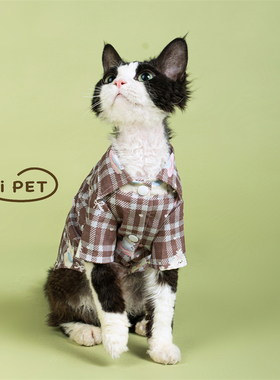 HOiii PET韩版咖格卡通衬衫德文猫衣服纯棉无毛猫衣服ins可爱春夏