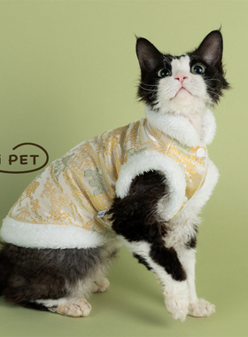 HOiii PET小桥风景新中式加绒马甲德文猫衣服加厚无毛猫保暖背心