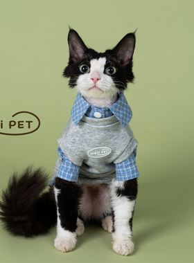 HOiii PET设计款假两件衬衫卫衣德文猫衣服纯棉无毛猫衣服秋冬韩